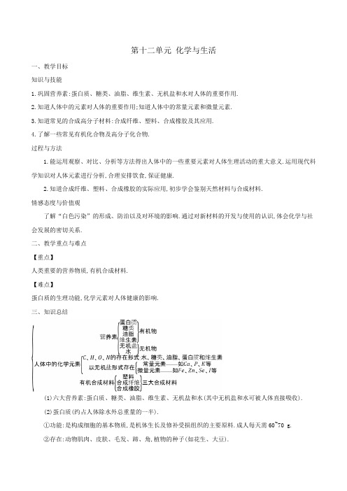 人教版中考化学一轮复习 第十二单元 化学与生活 教学设计 教案