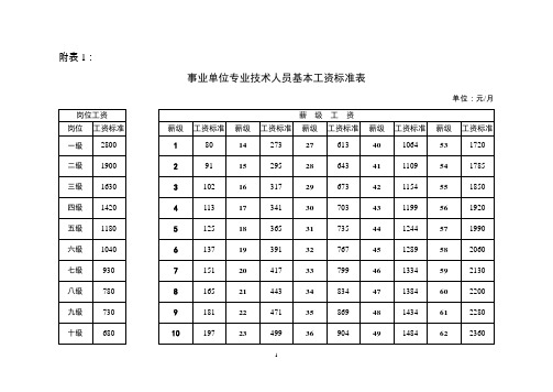 专业技术人员基本工资标准表