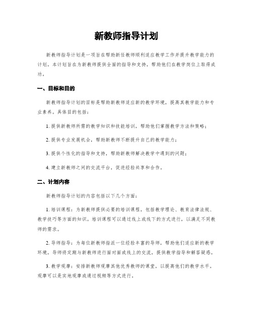 新教师指导计划