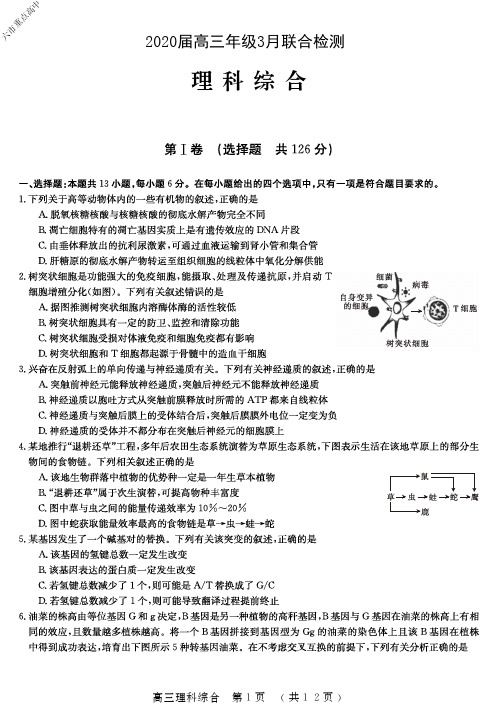 2020年3月8日河南省六市重点高中高2020届高2017级高三年级3月联合检测理科综合试题