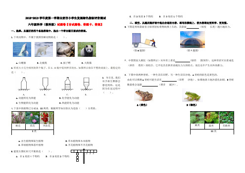 【绿色评价】发展绿色指标评价测试教科版六年级《科学》上册第一学期期末试卷及答案解析