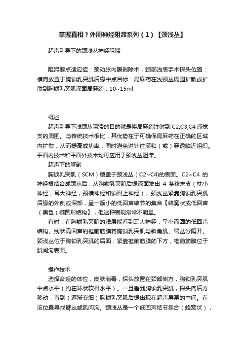 掌握真相？外周神经阻滞系列（1）【颈浅丛】