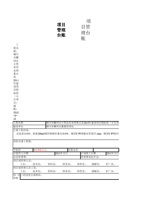 项目管理台账