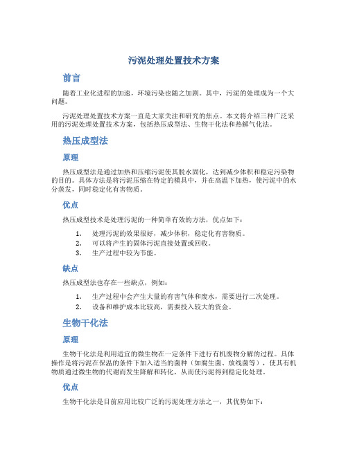 污泥处理处置技术方案