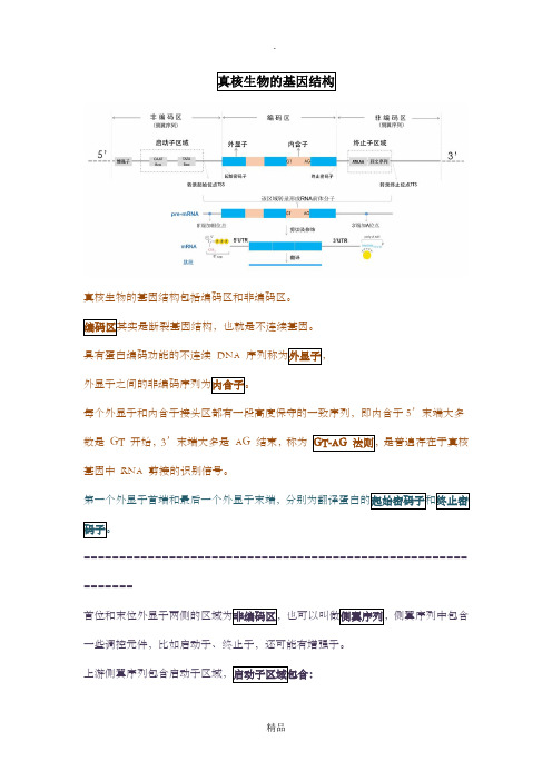 真核生物的基因结构