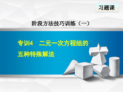 冀教版七年级下册数学第6章 二元一次方程组 专训4 二元一次方程组的五种特殊解法