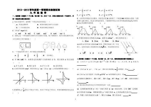 2012-2013九年级数学期末测试卷