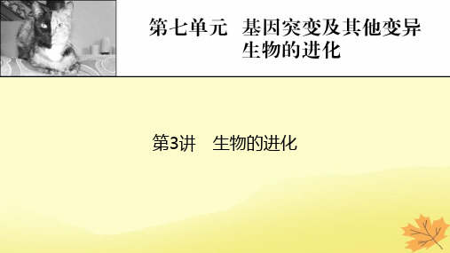 高考生物一轮总复习第7单元基因突变及其他变异生物的进化第3讲生物的进化课件