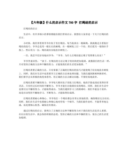 【六年级】什么的启示作文700字 打绳结的启示