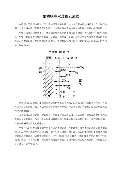 生物膜净水过程及原理