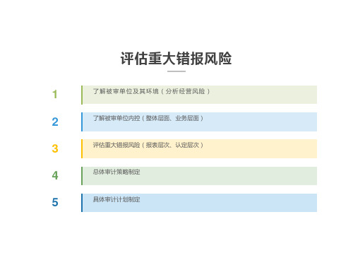 审计综合实训(鼎信诺) (2)