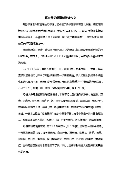 嘉兴最美绿道新塍塘作文