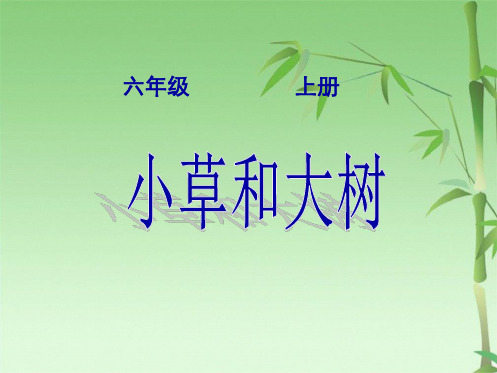 冀教版小学科学六级上册小草和大树课件(共29张PPT)