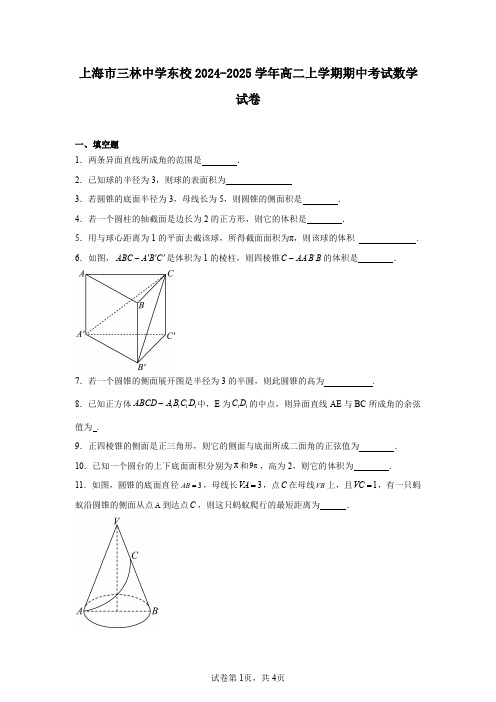 上海市三林中学东校2024-2025学年高二上学期期中考试数学试卷