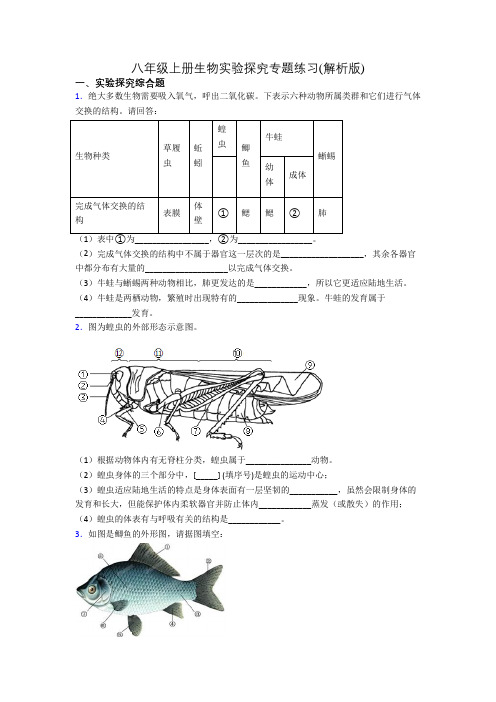 八年级上册生物实验探究专题练习(解析版)