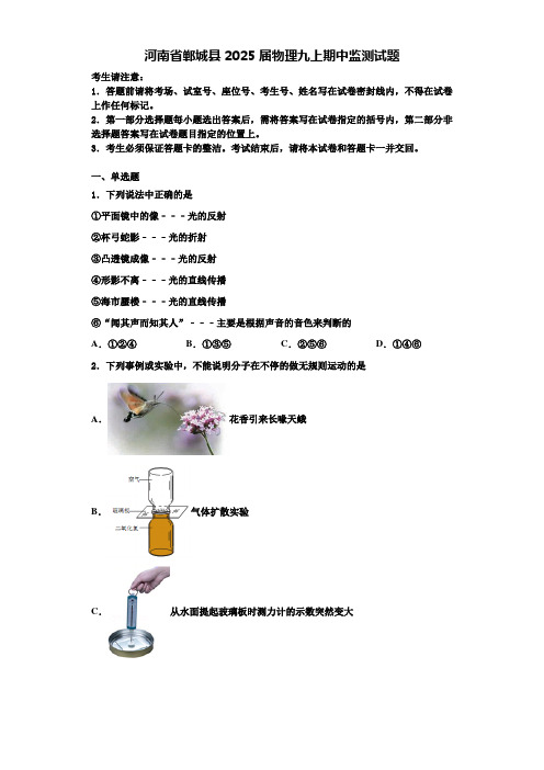 河南省郸城县2025届物理九上期中监测试题含解析