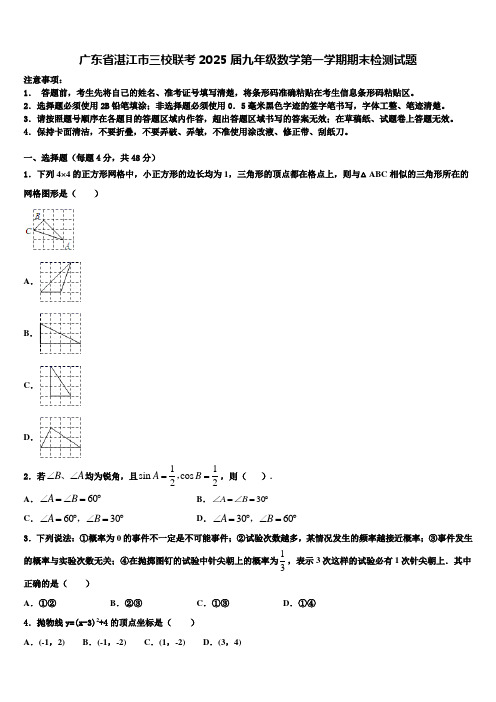 广东省湛江市三校联考2025届九年级数学第一学期期末检测试题含解析