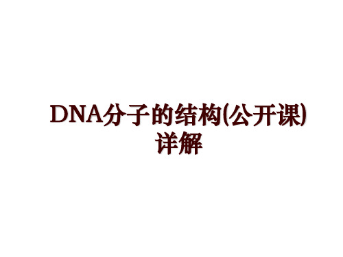 DNA分子的结构(公开课)详解