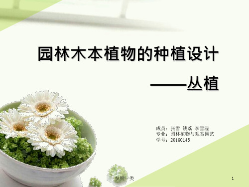 植物种植设计——丛植[严选材料]