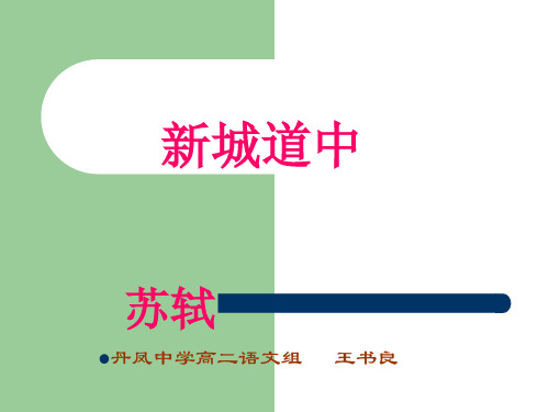 新城道中.PPT