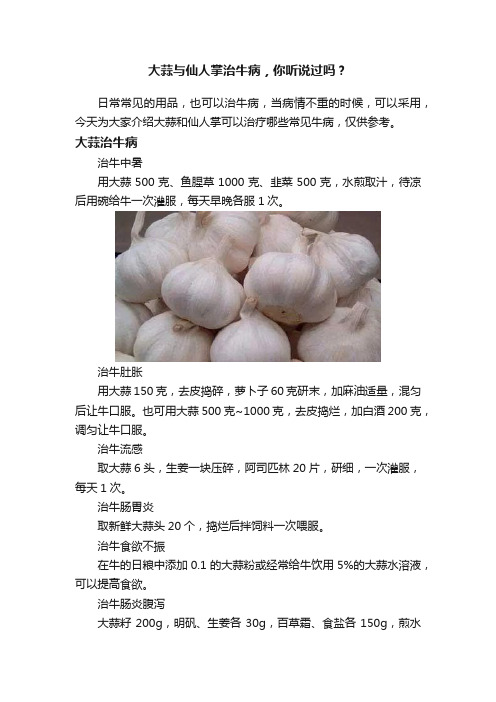 大蒜与仙人掌治牛病，你听说过吗？