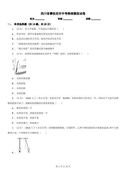 四川省攀枝花市中考物理模拟试卷