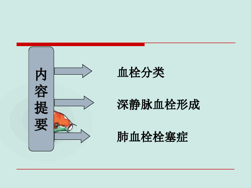 静脉血栓与肺血栓诊治策略课件