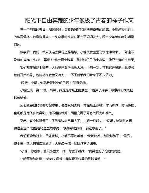 阳光下自由奔跑的少年像极了青春的样子作文