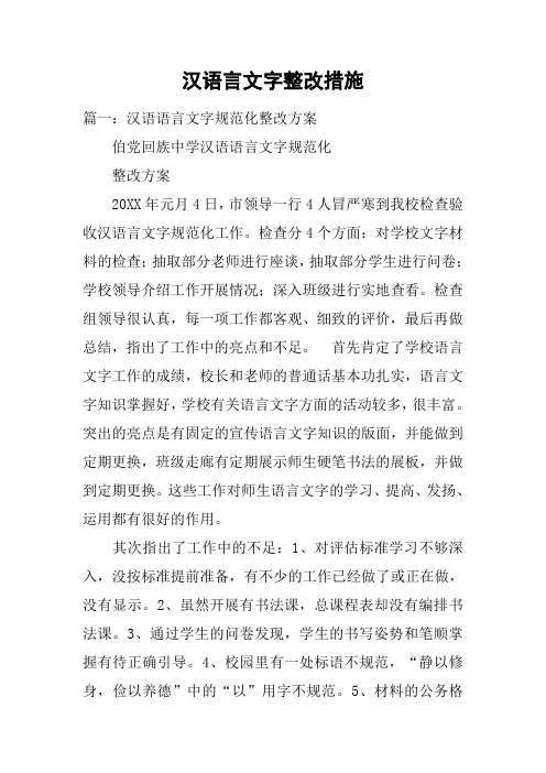 汉语言文字整改措施