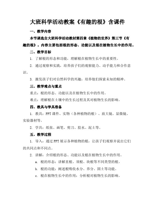 大班科学活动教案《有趣的根》含课件