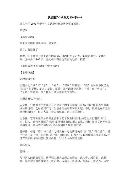 我读懂了什么作文800字