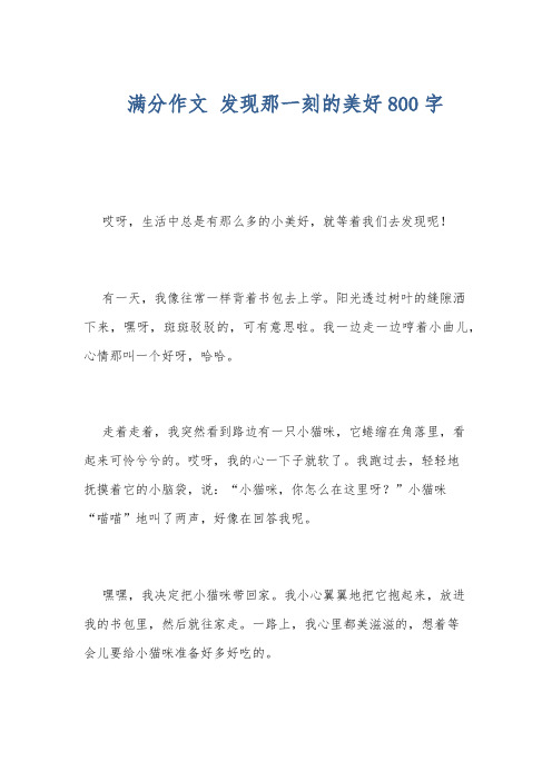 满分作文 发现那一刻的美好800字