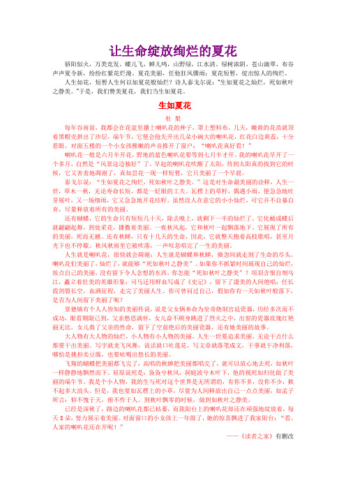 《生如夏花》赏析 作文素材