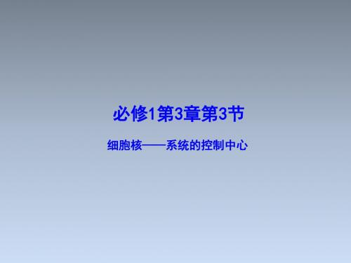 专题3.3 细胞核--系统的控制中心(课件)人教版高一生物同步精品课堂(提升版)(必修1)