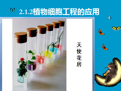 2-1-2_植物细胞工程的实际应用