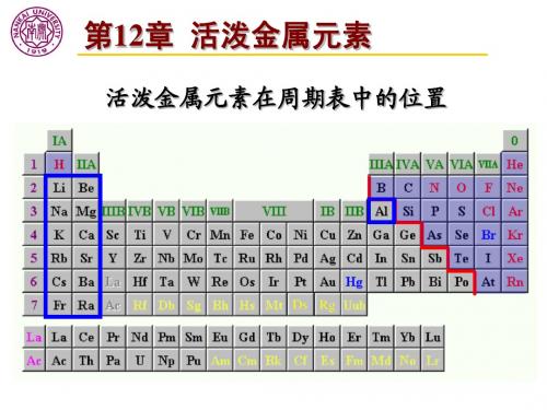 第12章-2活泼金属元素