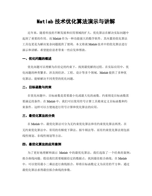 Matlab技术优化算法演示与讲解