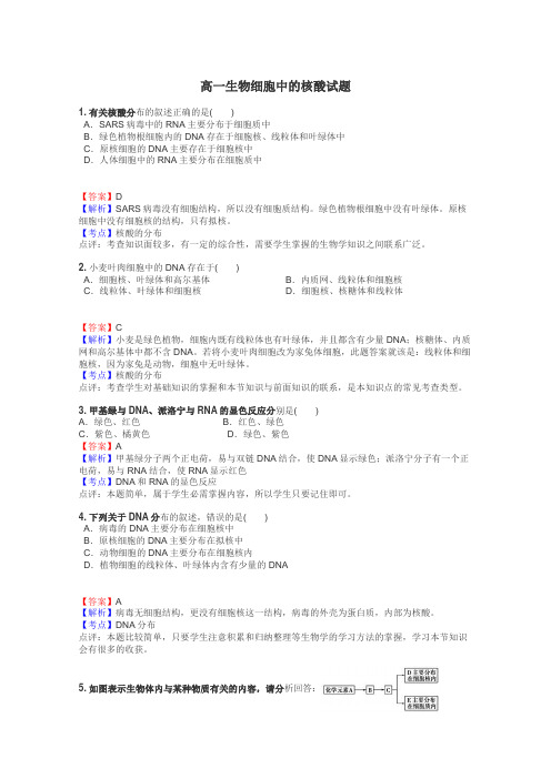 高一生物细胞中的核酸试题
