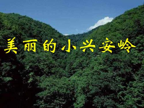 人教版三年级上册23《美丽的小兴安岭》PPT课件-梁润兴