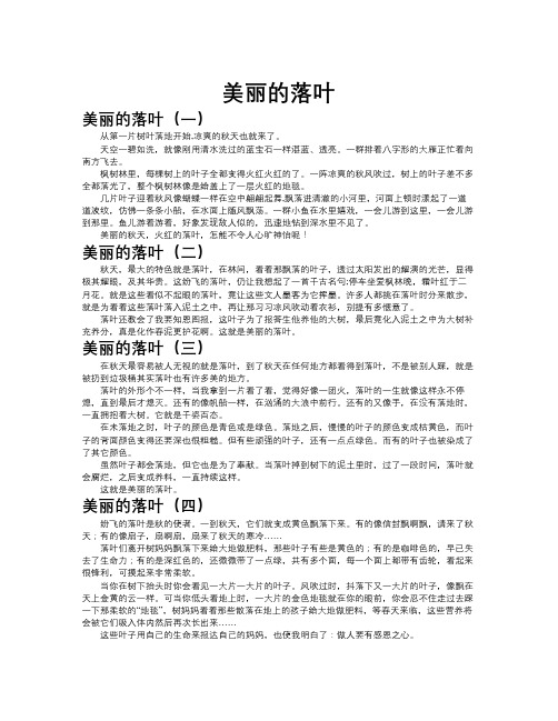 美丽的落叶作文共九篇