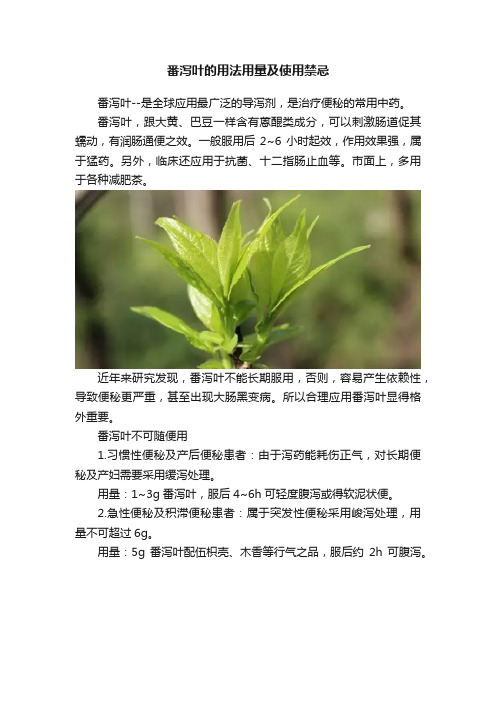 番泻叶的用法用量及使用禁忌