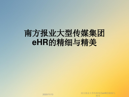 南方报业大型传媒集团eHR的精细与精美