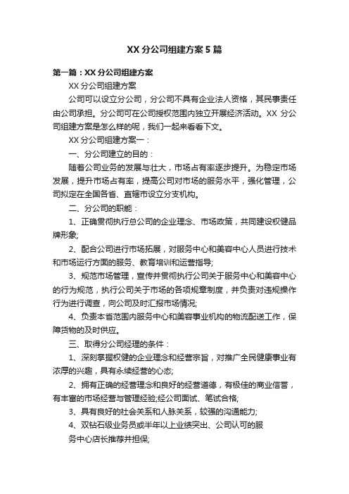 XX分公司组建方案5篇