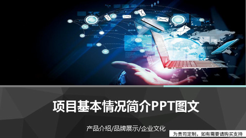 项目基本情况简介PPT图文