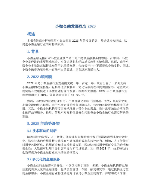 小微金融发展报告2023