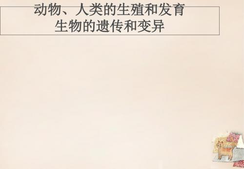 八年级生物上册-动物、人类的生殖和发育、生物的遗传和变异复习课件 (新版)济南版