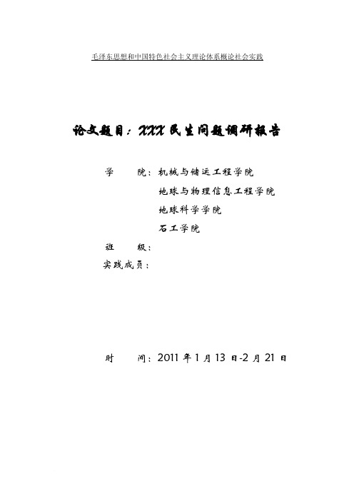 毛概社会实践论文民生问题调研报告