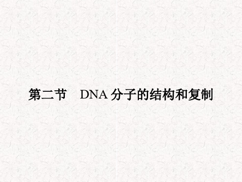 高中生物 4.2.1 DNA分子的结构课件 苏教版必修2
