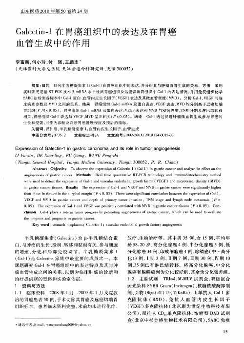 Galectin-1在胃癌组织中的表达及在胃癌血管生成中的作用