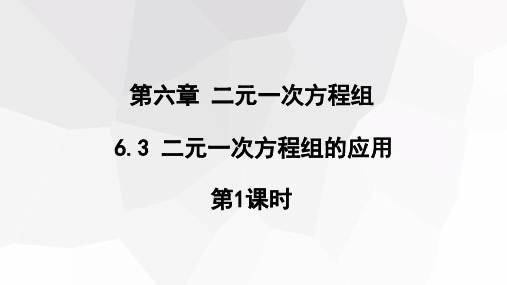 6.3 二元一次方程组的应用  课件(2课时,共28张PPT) 初中数学冀教版七年级下册